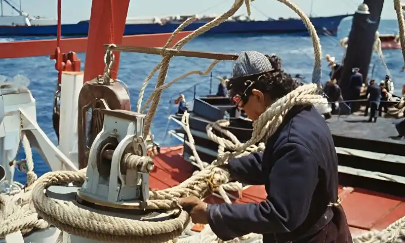 ilustrasi mooring winch orang menarik tambatan dikapal